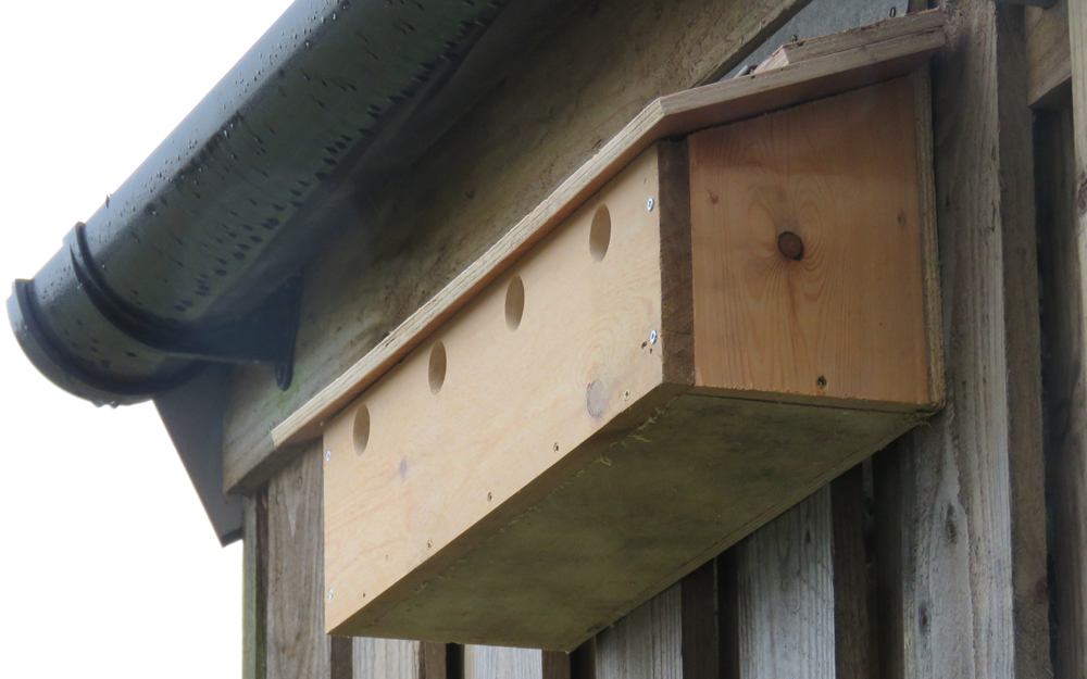 Sparrow Nest Box
